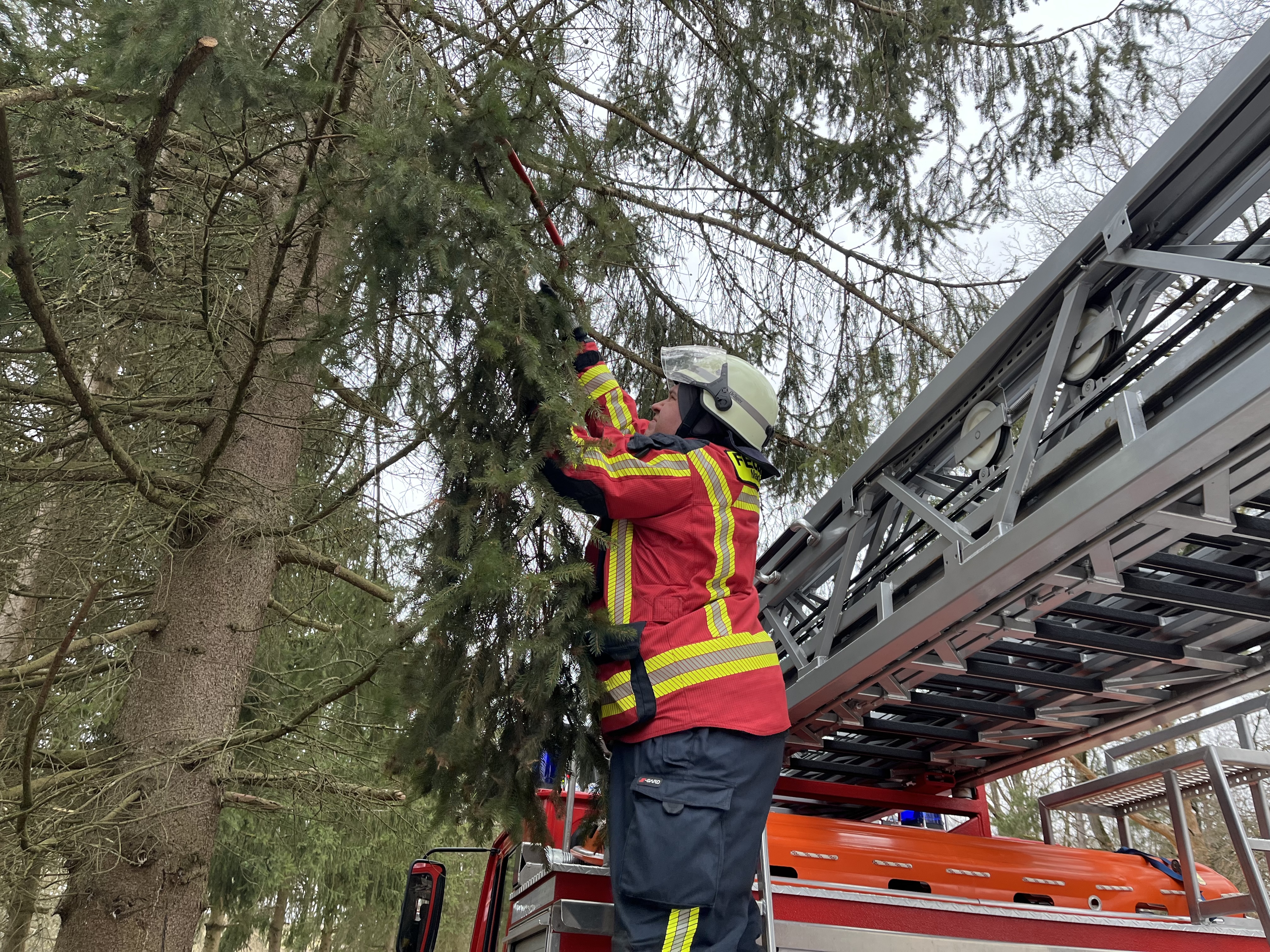 25-02-06 14-38-57 6887.jpg